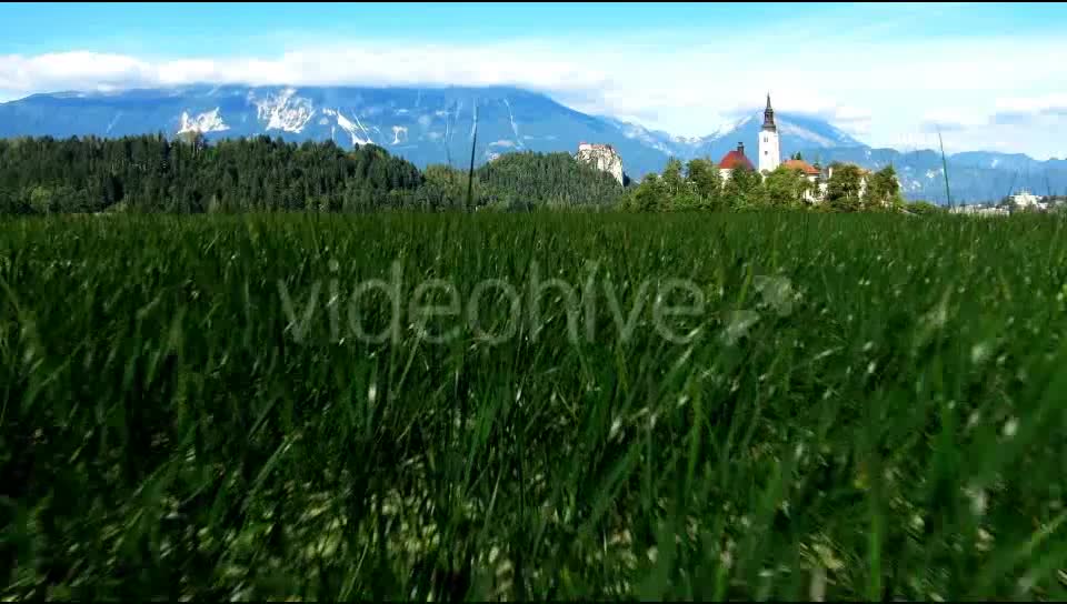 Grass Field Videohive 19698753 Motion Graphics Image 9