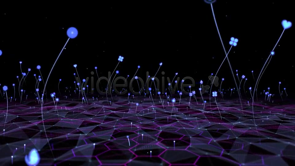 Grass Field VJ Videohive 7063083 Motion Graphics Image 4