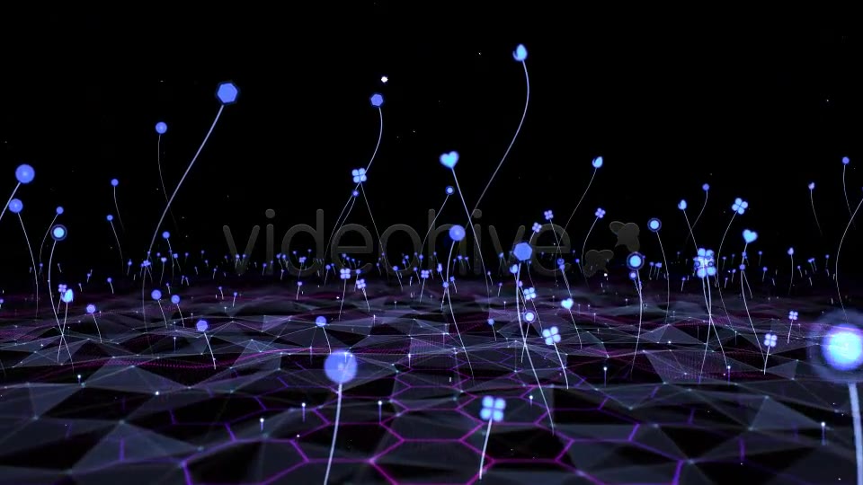 Grass Field VJ Videohive 7063083 Motion Graphics Image 6