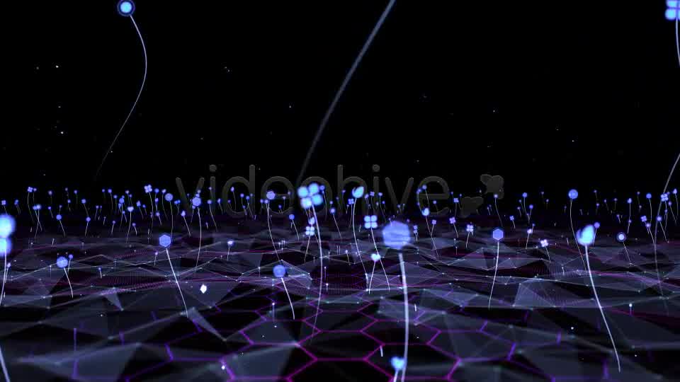 Grass Field VJ Videohive 7063083 Motion Graphics Image 9