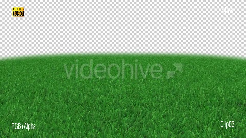 Grass Stadiam Videohive 18947793 Motion Graphics Image 10