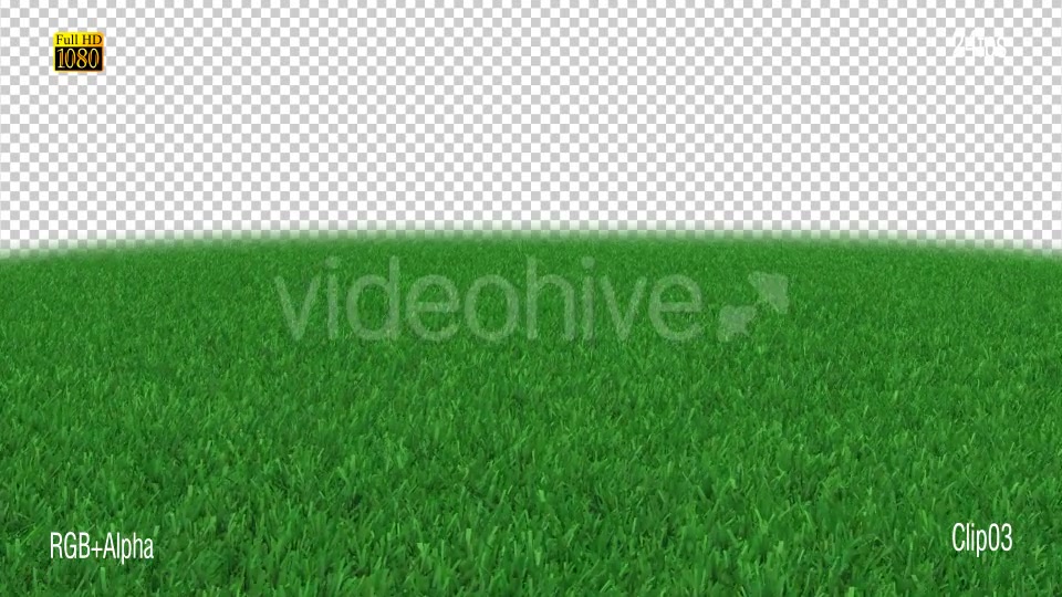 Grass Stadiam Videohive 18947793 Motion Graphics Image 8