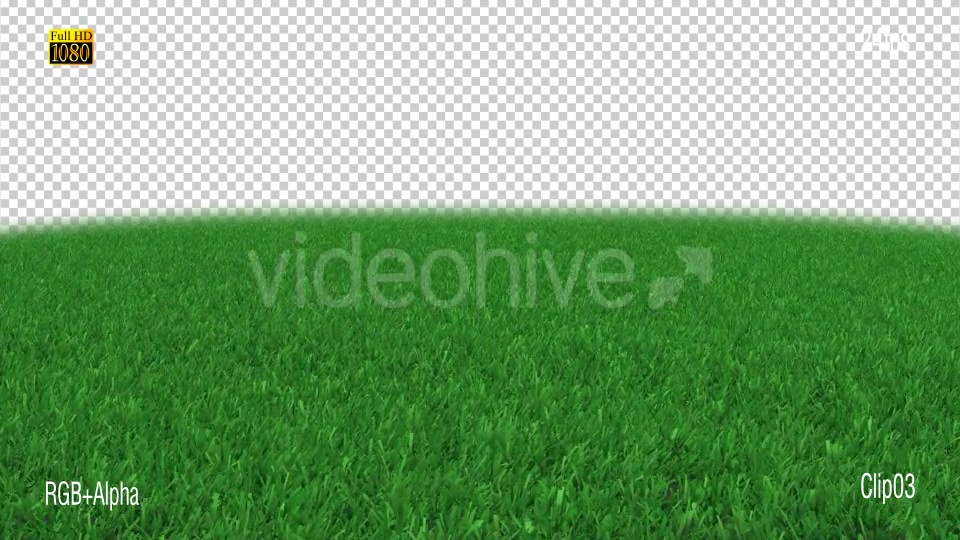 Grass Stadiam Videohive 18947793 Motion Graphics Image 9