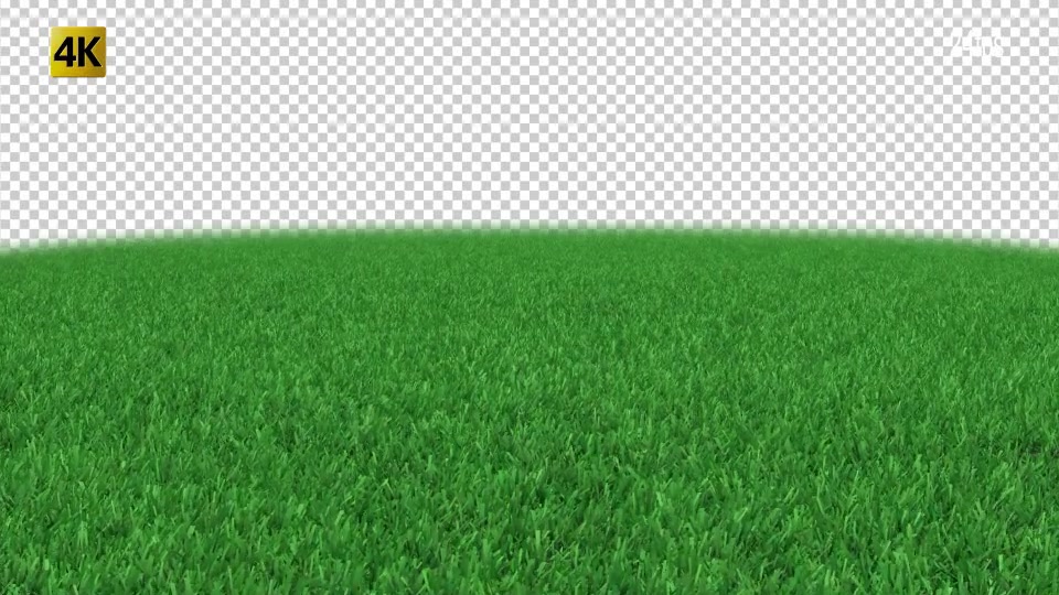 Grass Stadium Videohive 19772544 Motion Graphics Image 10