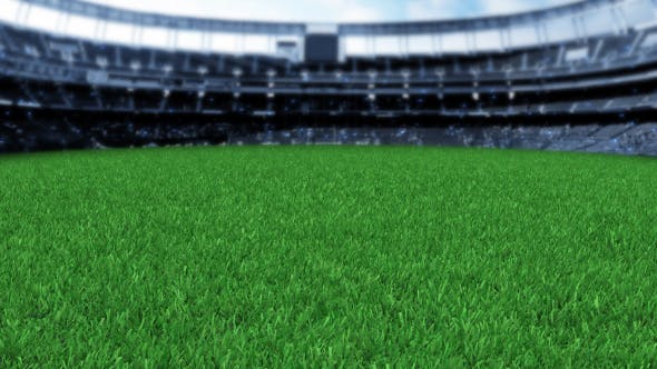 Grass Stadium - 19772544 Videohive Download