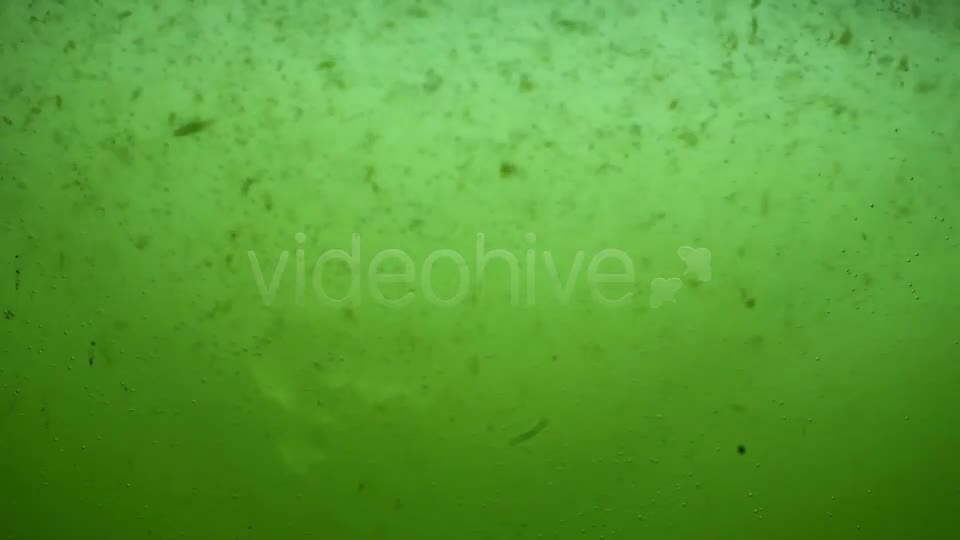 Green Dirty Water Sludge Background Loop Videohive 3389799 Motion Graphics Image 1