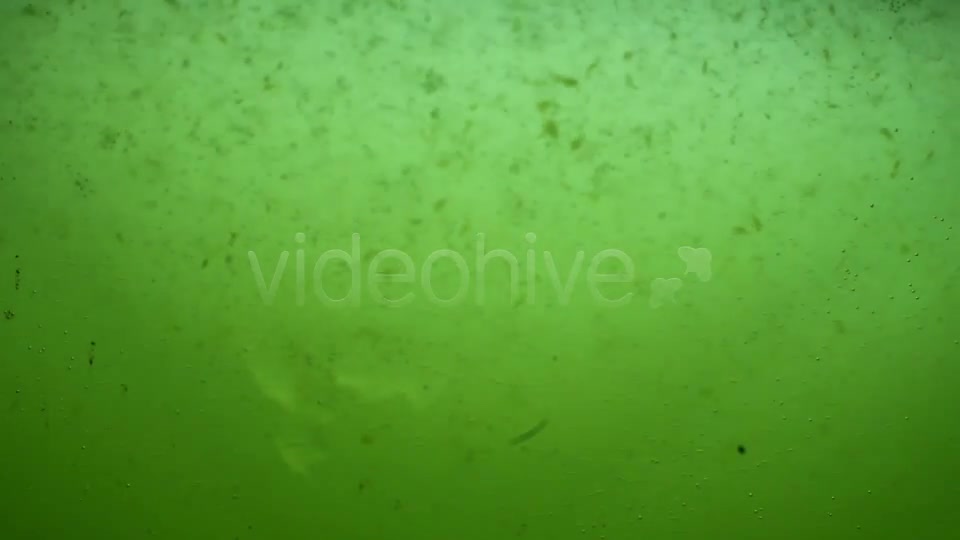 Green Dirty Water Sludge Background Loop Videohive 3389799 Motion Graphics Image 2