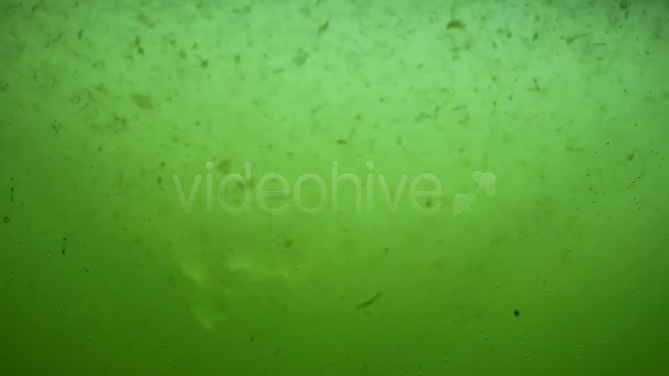 Green Dirty Water Sludge Background Loop Videohive 3389799 Motion Graphics Image 3
