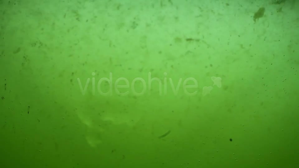 Green Dirty Water Sludge Background Loop Videohive 3389799 Motion Graphics Image 4