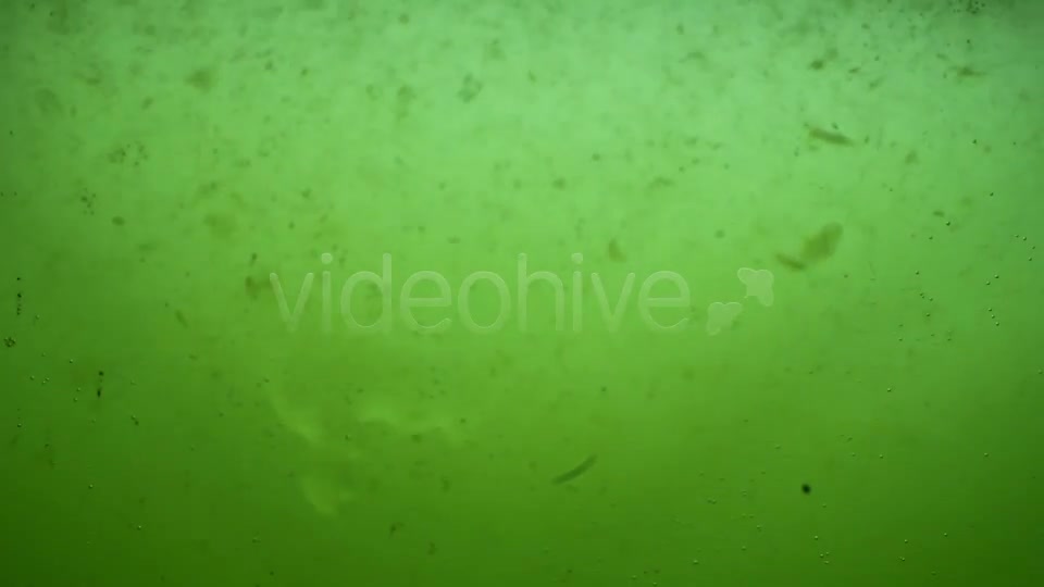Green Dirty Water Sludge Background Loop Videohive 3389799 Motion Graphics Image 5