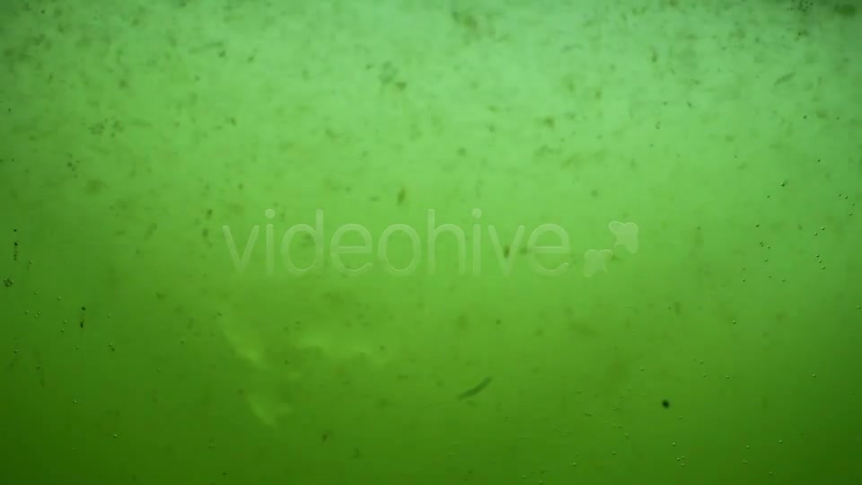 Green Dirty Water Sludge Background Loop Videohive 3389799 Motion Graphics Image 6