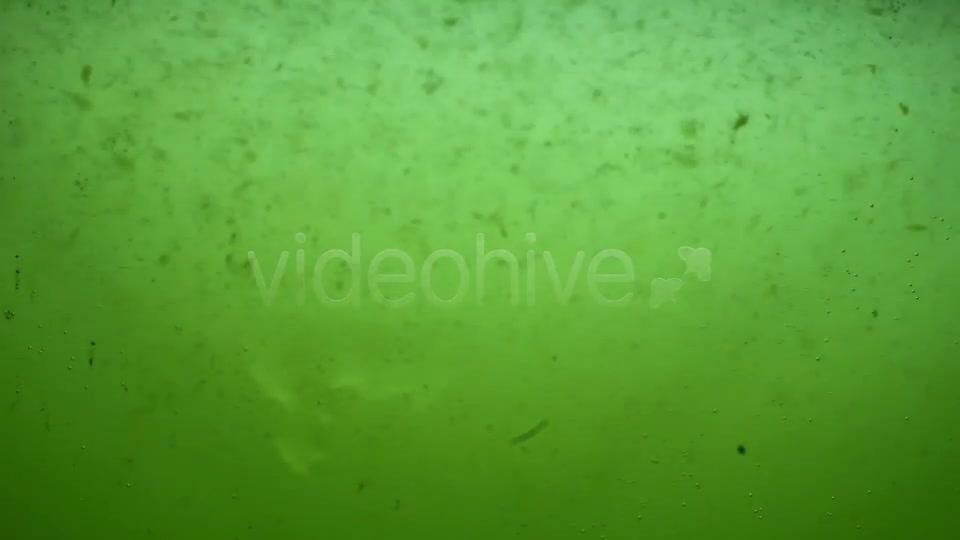 Green Dirty Water Sludge Background Loop Videohive 3389799 Motion Graphics Image 7