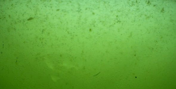 Green Dirty Water Sludge Background Loop - 3389799 Videohive Download