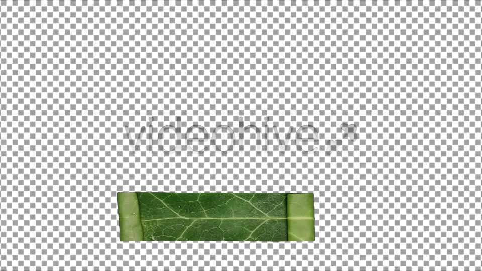 Green Elements Videohive 6286073 Motion Graphics Image 1