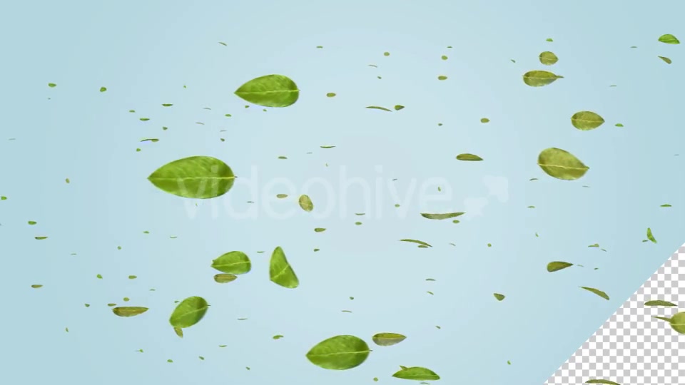 Green Leaf Falling Videohive 20545143 Motion Graphics Image 10