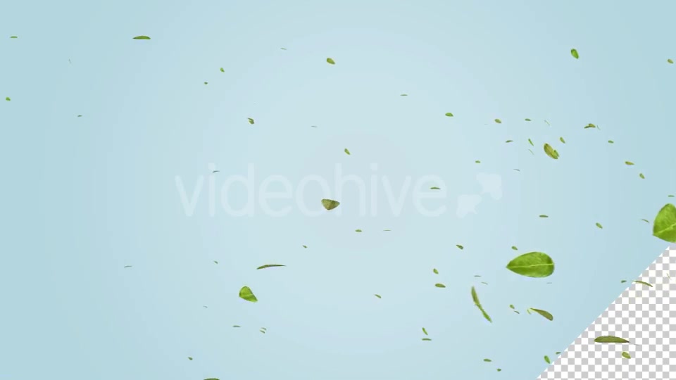 Green Leaf Falling Videohive 20545143 Motion Graphics Image 11