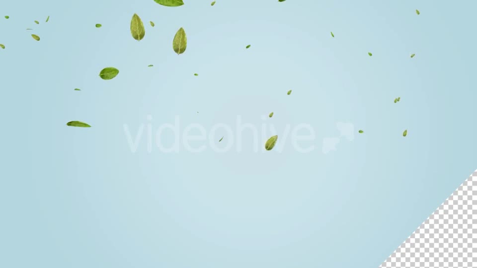 Green Leaf Falling Videohive 20545143 Motion Graphics Image 2