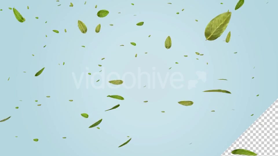 Green Leaf Falling Videohive 20545143 Motion Graphics Image 3