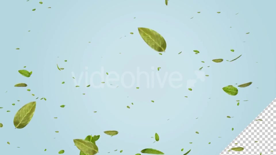 Green Leaf Falling Videohive 20545143 Motion Graphics Image 4