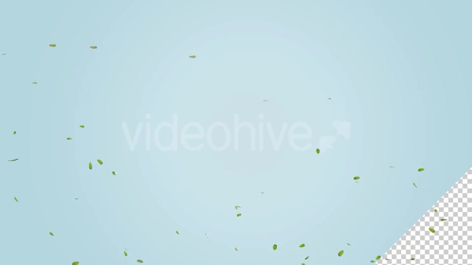 Green Leaf Falling Videohive 20545143 Motion Graphics Image 5