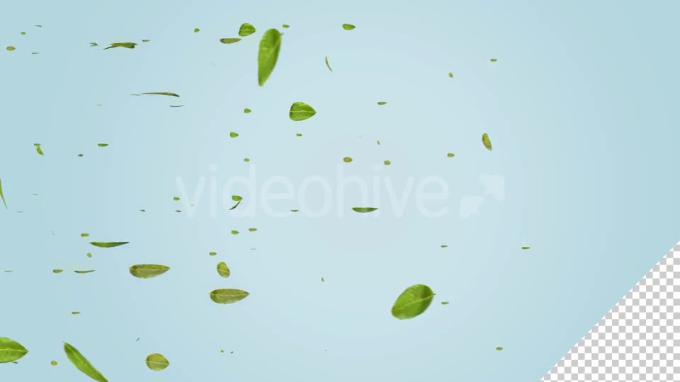 Green Leaf Falling Videohive 20545143 Motion Graphics Image 9