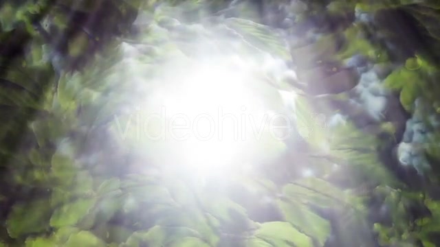 Green Leaves Background And Bright Light Videohive 12664787 Motion Graphics Image 6