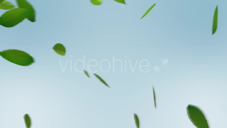 Green Leaves Transition Videohive 10997829 Motion Graphics Image 1