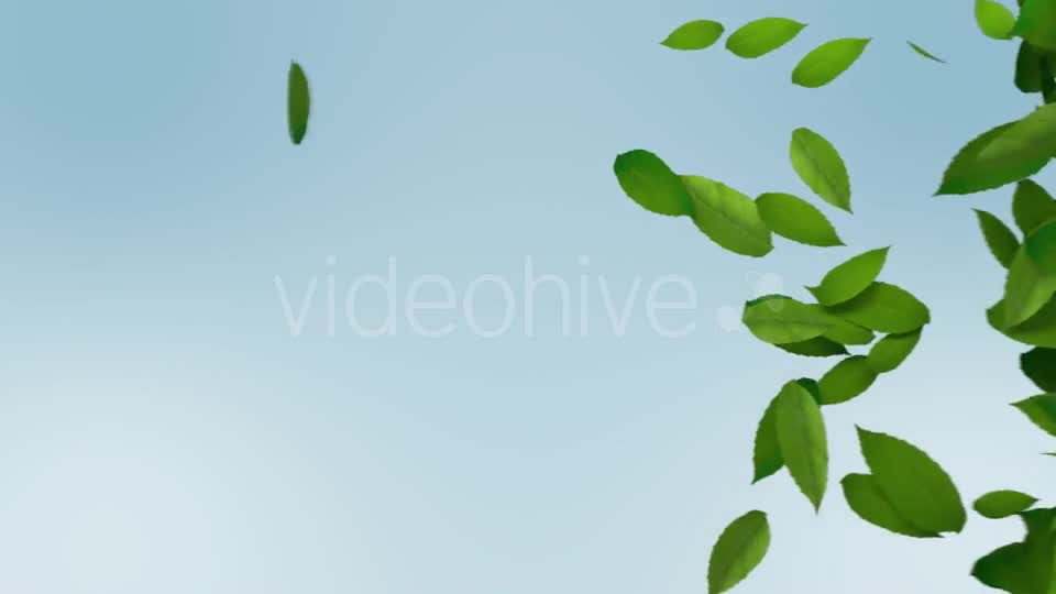 Green Leaves Transition Videohive 10997829 Motion Graphics Image 10