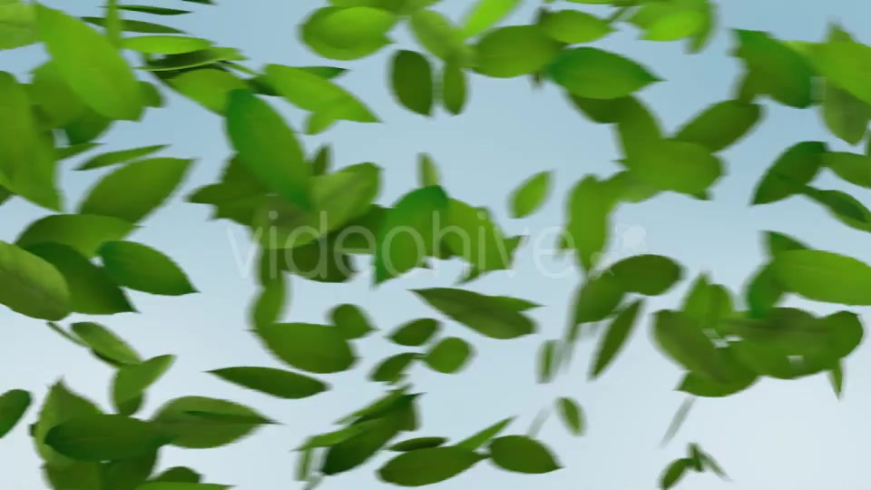 Green Leaves Transition Videohive 10997829 Motion Graphics Image 2