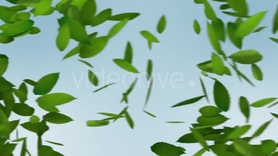 Green Leaves Transition Videohive 10997829 Motion Graphics Image 3