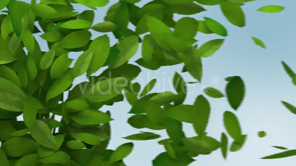 Green Leaves Transition Videohive 10997829 Motion Graphics Image 4