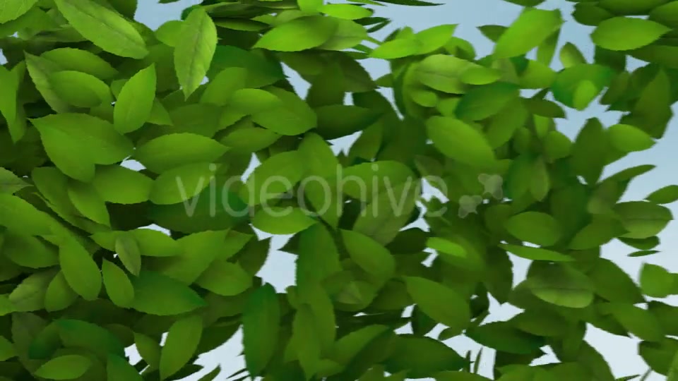 Green Leaves Transition Videohive 10997829 Motion Graphics Image 6