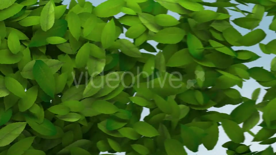 Green Leaves Transition Videohive 10997829 Motion Graphics Image 7