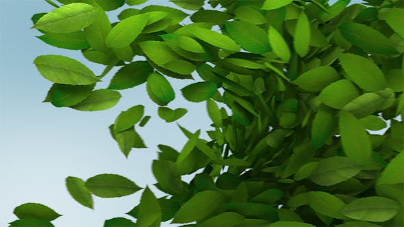 Green Leaves Transition - Videohive 10997829 Download