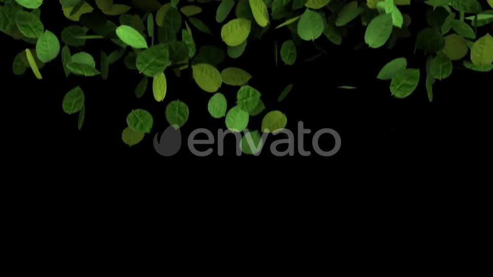 Green Leaves Transition Videohive 25510916 Motion Graphics Image 1