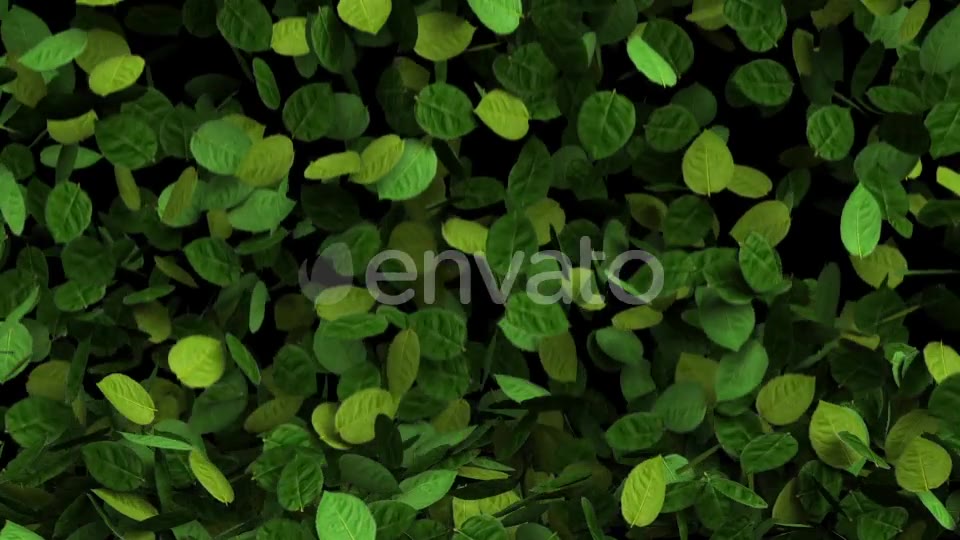 Green Leaves Transition Videohive 25510916 Motion Graphics Image 2