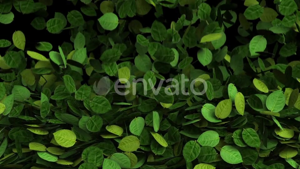 Green Leaves Transition Videohive 25510916 Motion Graphics Image 3