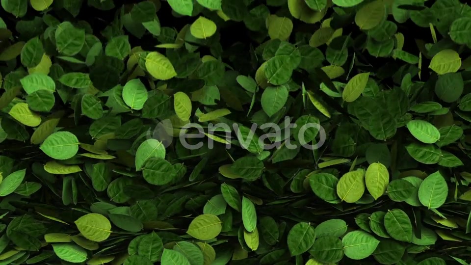 Green Leaves Transition Videohive 25510916 Motion Graphics Image 4