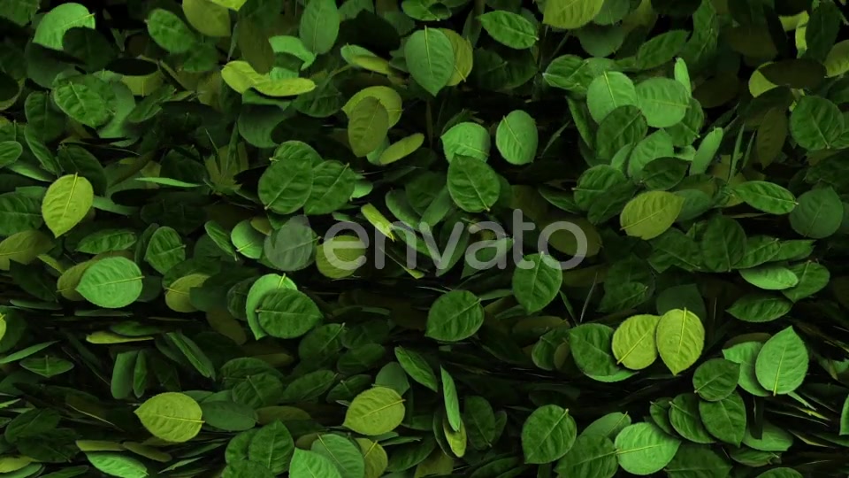 Green Leaves Transition Videohive 25510916 Motion Graphics Image 5