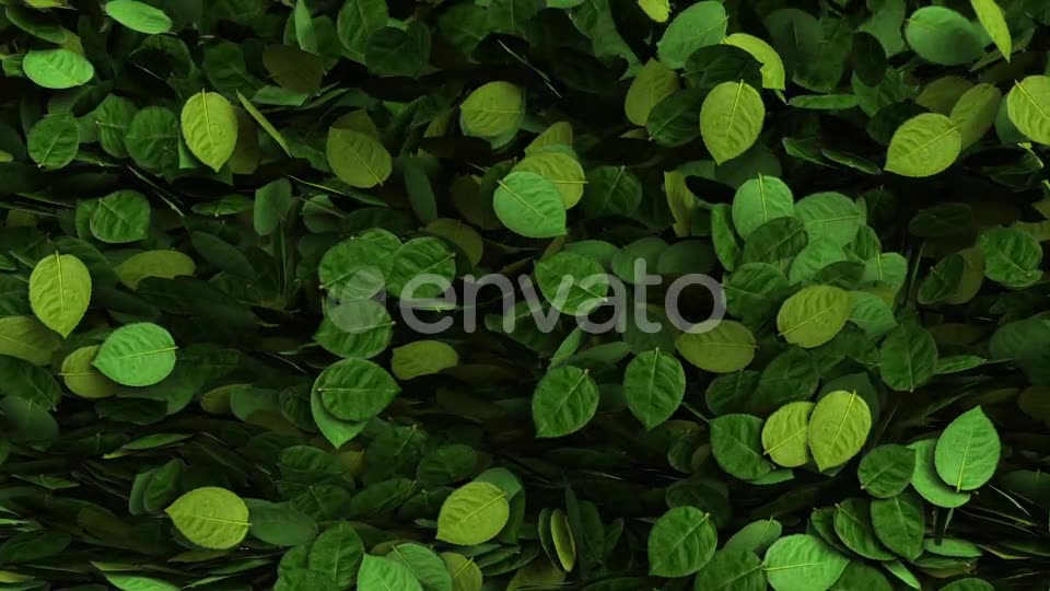Green Leaves Transition Videohive 25510916 Motion Graphics Image 6
