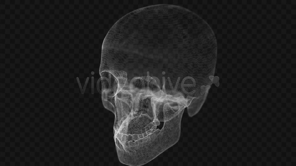 Grid of Human Skull 2 Videohive 14458441 Motion Graphics Image 2