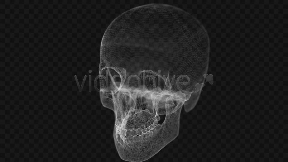 Grid of Human Skull 2 Videohive 14458441 Motion Graphics Image 3