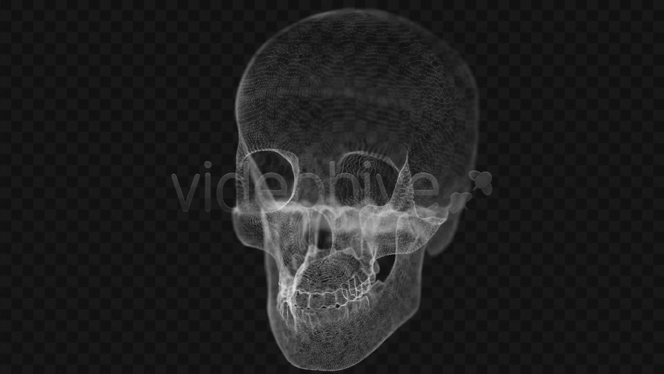 Grid of Human Skull 2 Videohive 14458441 Motion Graphics Image 4