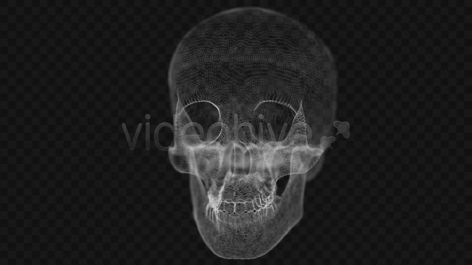 Grid of Human Skull 2 Videohive 14458441 Motion Graphics Image 5
