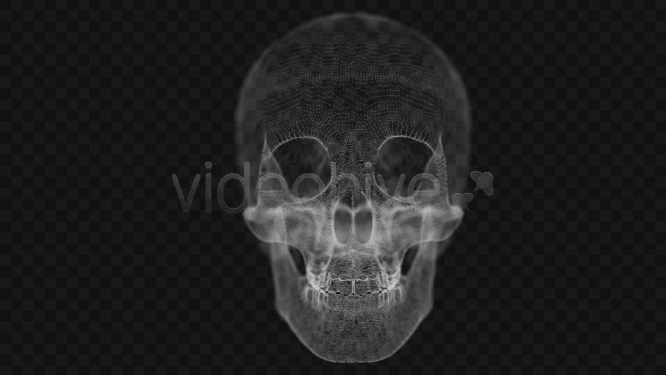 Grid of Human Skull 2 Videohive 14458441 Motion Graphics Image 6