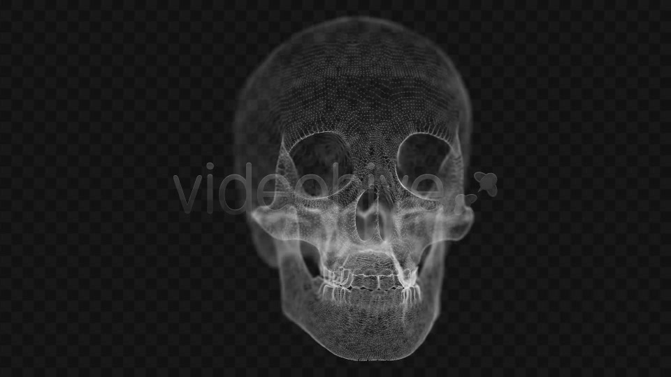 Grid of Human Skull 2 Videohive 14458441 Motion Graphics Image 7