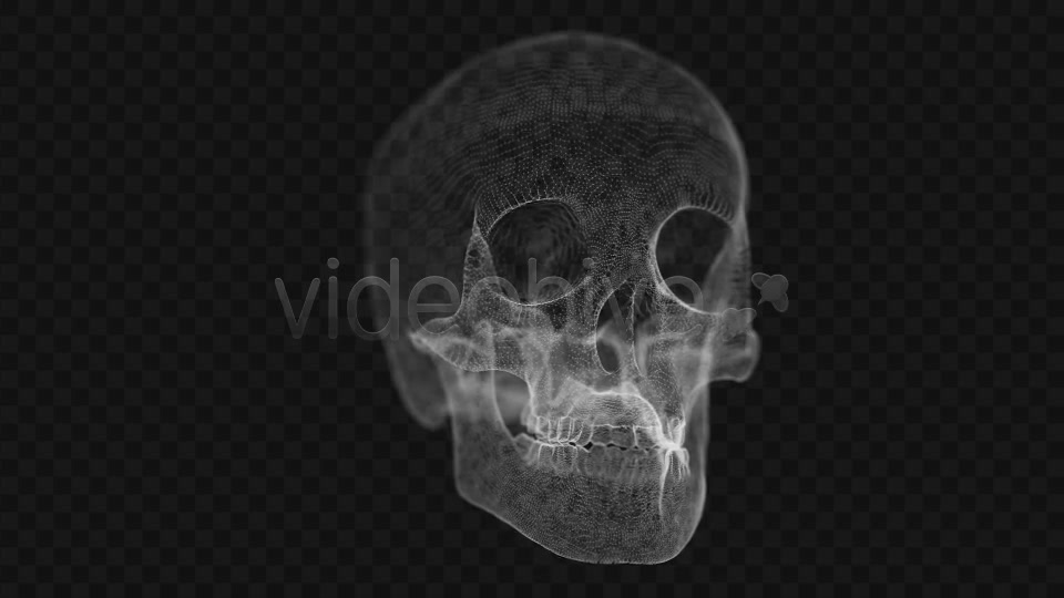 Grid of Human Skull 2 Videohive 14458441 Motion Graphics Image 8
