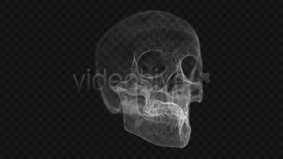 Grid of Human Skull 2 Videohive 14458441 Motion Graphics Image 9