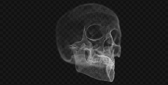 Grid of Human Skull 2 - 14458441 Download Videohive