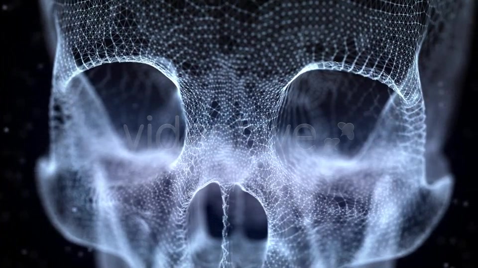 Grid of Human Skull 3 Videohive 14458453 Motion Graphics Image 4